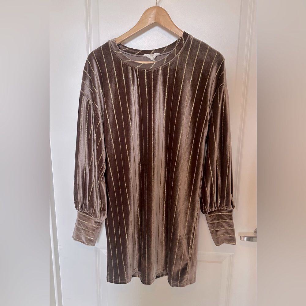 Love Riche medium long sleeve dress. Gold pinstripe. Comfy velour like fabric.